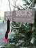 LOST SOCKS